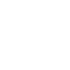 icom-twitter